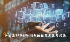 什么是TP的EVM钱包地址及其使用指南