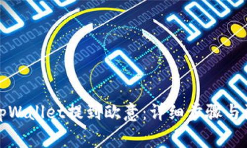 如何从tpWallet提到欧意：详细步骤与注意事项