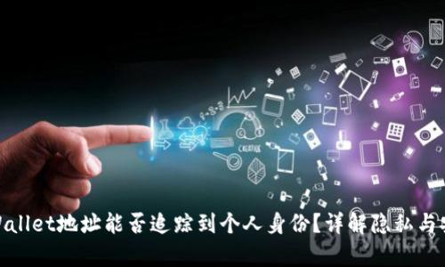 tpWallet地址能否追踪到个人身份？详解隐私与安全