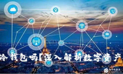 Trust钱包是冷钱包吗？深入解析数字资产安全存储方式