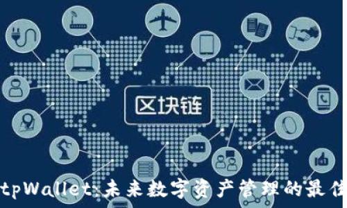   
墨客钱包tpWallet：未来数字资产管理的最佳解决方案