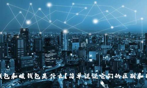 冷钱包和暖钱包是什么？简单说说它们的区别和用途