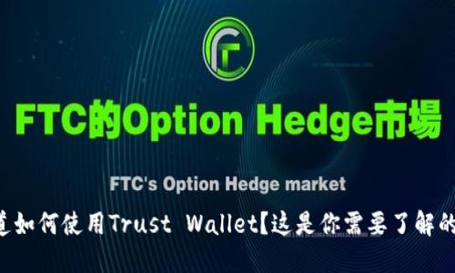 想知道如何使用Trust Wallet？这是你需要了解的一切！