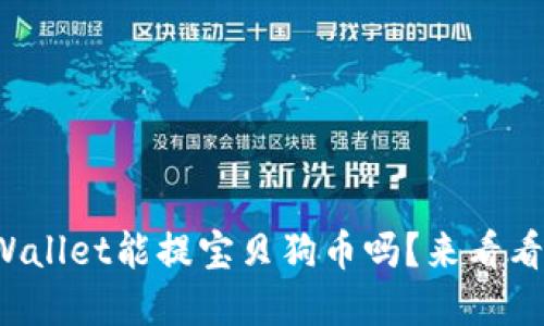 tpWallet能提宝贝狗币吗？来看看吧！
