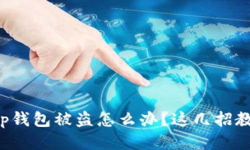 华英会提现tp钱包被盗怎么办？这几招教你轻松应对！