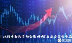 tpWallet转币打包不动会退回吗？来看看你的币在何