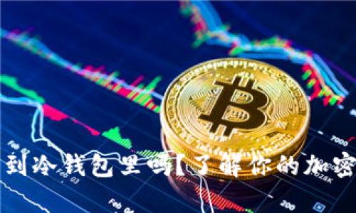 柴犬币可以转到冷钱包里吗？了解你的加密货币储存选择
