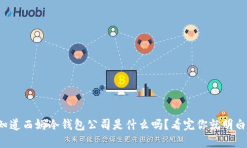 你知道西姆冷钱包公司是什么吗？看完你就明白了！