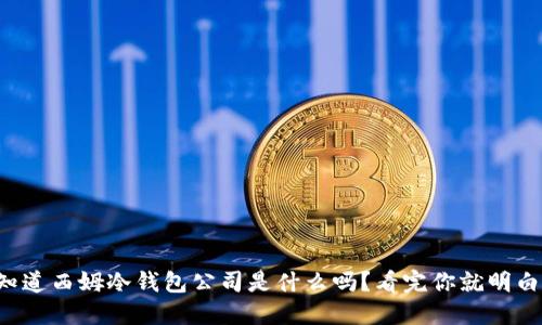 你知道西姆冷钱包公司是什么吗？看完你就明白了！