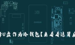 为什么选择U盘作为冷钱包？来看看这背后的真相