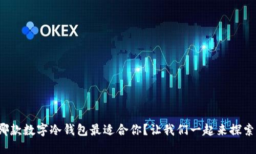 哪款数字冷钱包最适合你？让我们一起来探索！