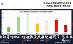 你知道tpWallet的池子里面没有钱了，怎么办？