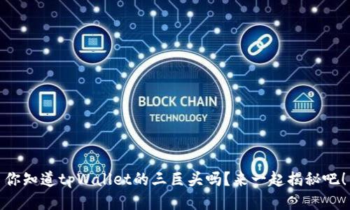 你知道tpWallet的三巨头吗？来一起揭秘吧！