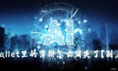 _TRUE_TITLEtpWallet里的薄饼怎么消失了？别着急，看