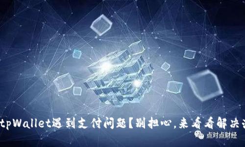 使用tpWallet遇到支付问题？别担心，来看看解决办法！