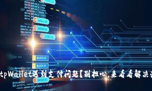 使用tpWallet遇到支付问题？别担心，来看看解决办法！