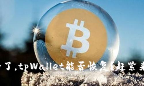 账户删除了，tpWallet能否恢复？赶紧来看解答！