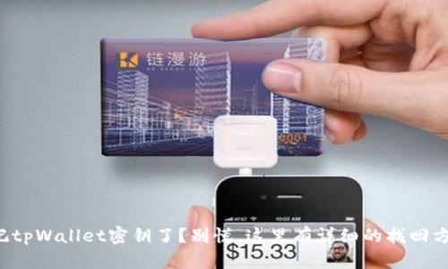 忘记tpWallet密钥了？别慌，这里有详细的找回方法！