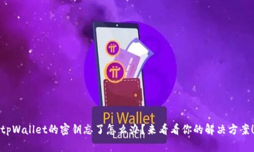 tpWallet的密钥忘了怎么办？来看看你的解决方案！