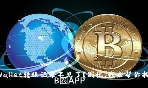 tpWallet转账记录不见了？别慌，我来帮你找回！