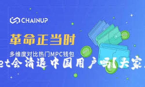 tpWallet会清退中国用户吗？大家怎么看？