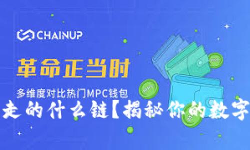itpWallet提币走的什么链？揭秘你的数字货币交易之路！