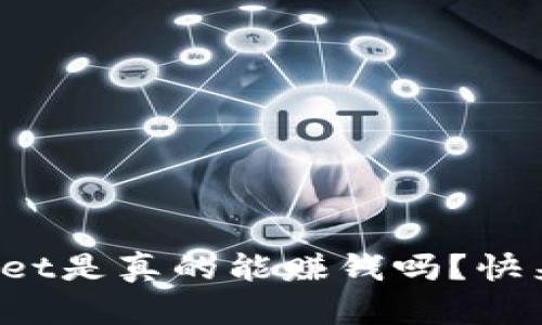 tpWallet是真的能赚钱吗？快来看看！