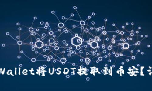 如何通过tpWallet将USDT提取到币安？详细步骤解析