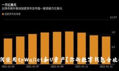 如何使用tpWallet和U资产？你的数字钱包全攻略！