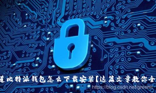 想知道比特派钱包怎么下载安装？这篇文章教你全攻略！