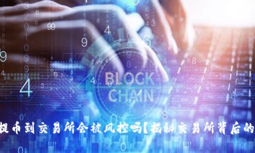 tpWallet提币到交易所会被风控吗？揭秘交易所背后的风险管理！