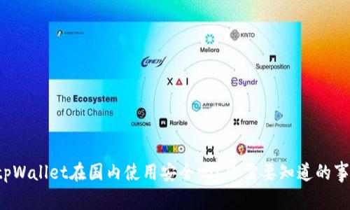 tpWallet在国内使用安全吗？你需要知道的事！