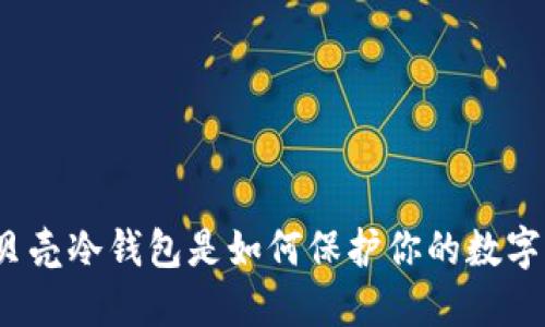 你知道小贝壳冷钱包是如何保护你的数字资产的吗？