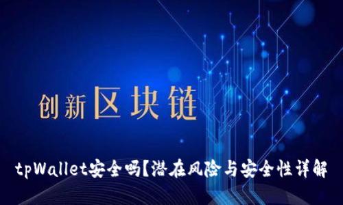 tpWallet安全吗？潜在风险与安全性详解