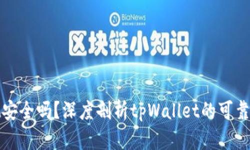 tpWallet安全吗?深度剖析tpWallet的可靠性与风险
