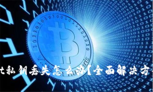 百度tpWallet私钥丢失怎么办？全面解决方案与预防措施