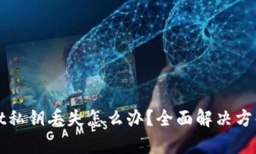 百度tpWallet私钥丢失怎么办？全面解决方案与预防措施