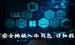 bias货币如何安全地放入冷钱包：详细指南与最佳