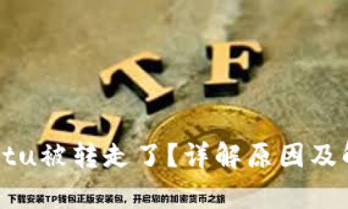 tpWalletu被转走了？详解原因及解决办法