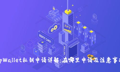 tpWallet私钥申请详解：在哪里申请及注意事项