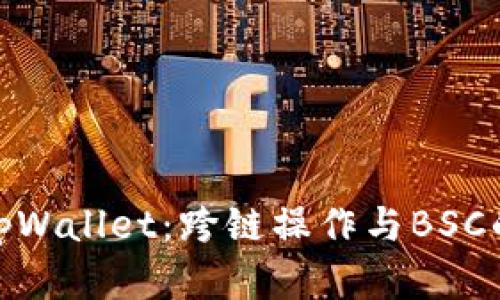全面解读tpWallet：跨链操作与BSC的完美结合