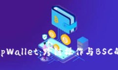 全面解读tpWallet：跨链操作与BSC的完美结合