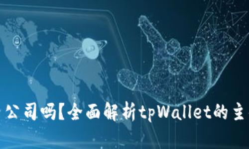 tpWallet是国内公司吗？全面解析tpWallet的主体背景及其影响