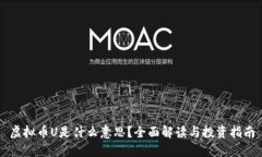 虚拟币U是什么意思？全面解读与投资指南