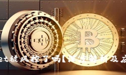 tpWallet被风控了吗？深度解析及应对策略