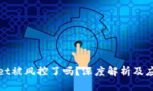 tpWallet被风控了吗？深度解析及应对策略