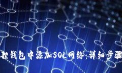 如何在小狐狸钱包中添加SOL网络：详细步骤与解