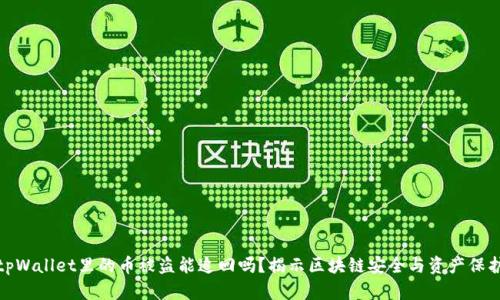 tpWallet里的币被盗能追回吗？揭示区块链安全与资产保护