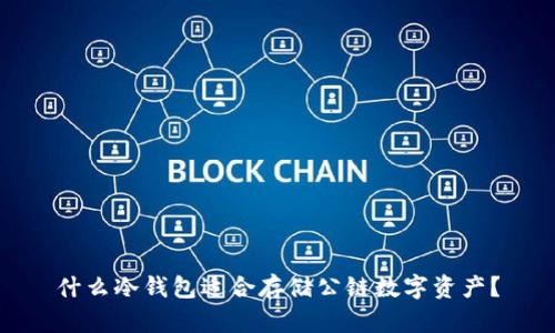 什么冷钱包适合存储公链数字资产？