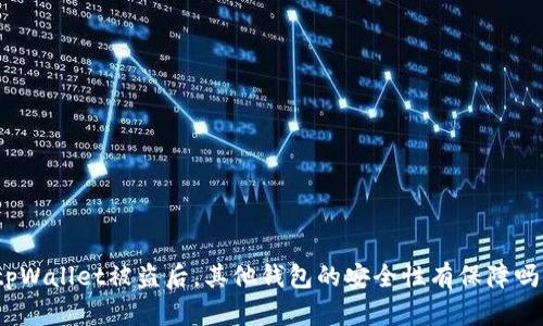 tpWallet被盗后，其他钱包的安全性有保障吗？